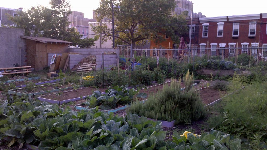 On World Food Day, a look at food justice & urban ag with Garden Justice Legal Initiative in Philadelphia