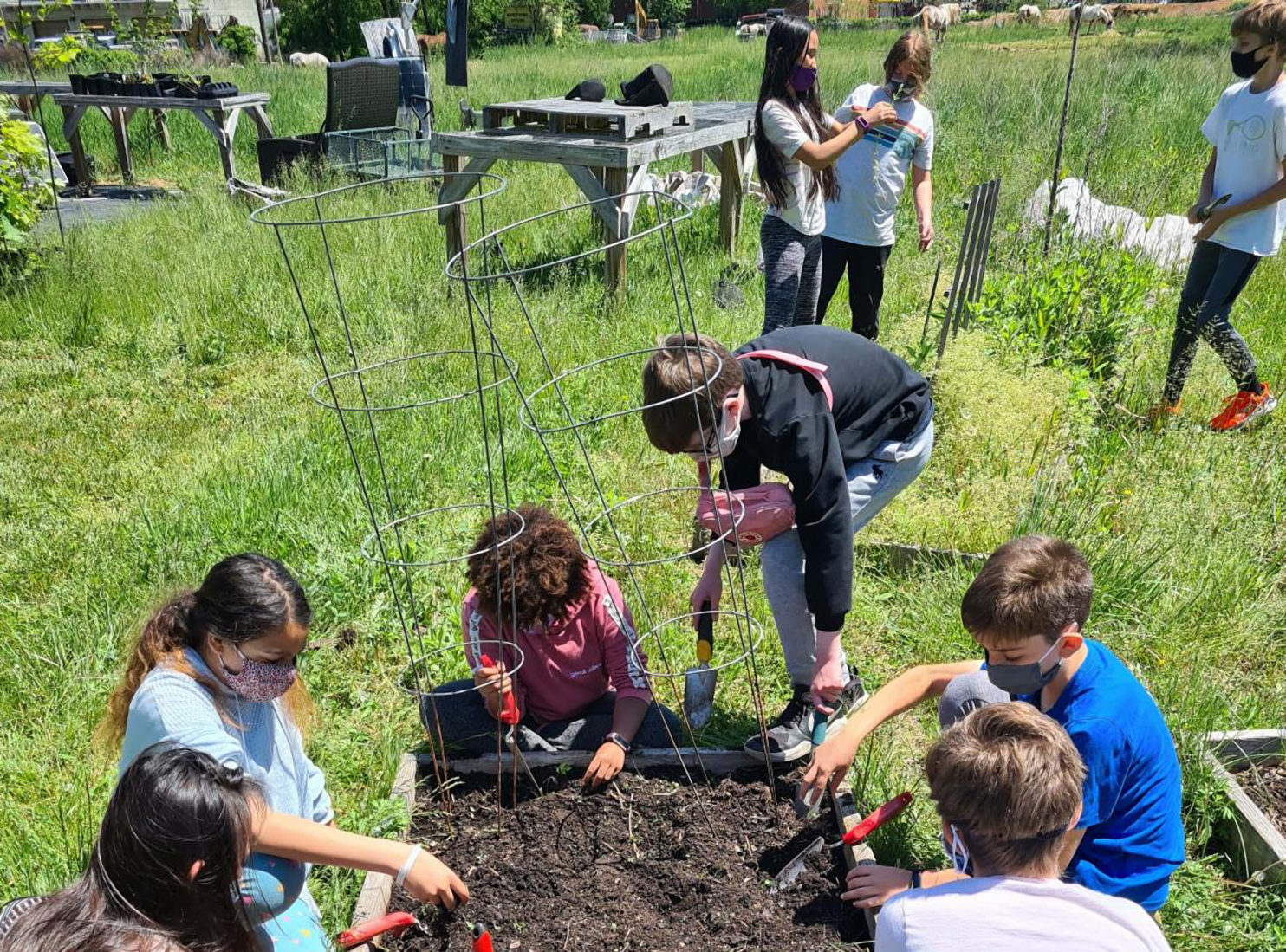Native Plant Nursery Center for Community Progress