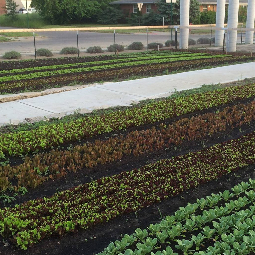 PenroseMarketGarden_GrowTown_2016