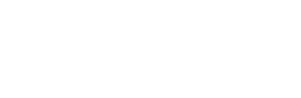 nlbn-summit-graphic-4