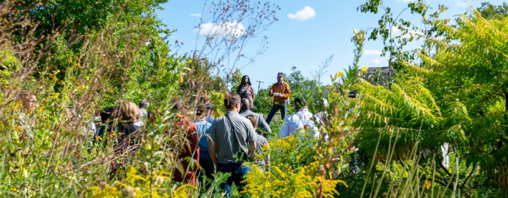 How Land Banks are Reusing Vacant Land to Build Climate Resilience