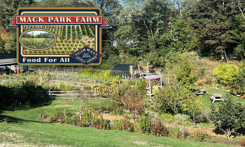 Mack Park Food Farm Hover Image