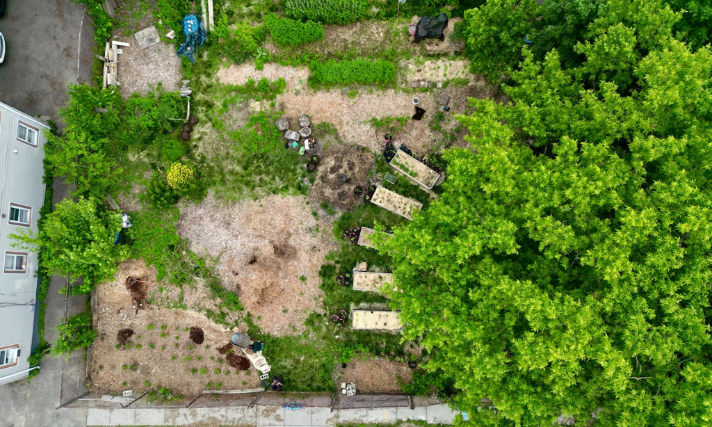 The Pearl Street Garden Microforest Hover Image