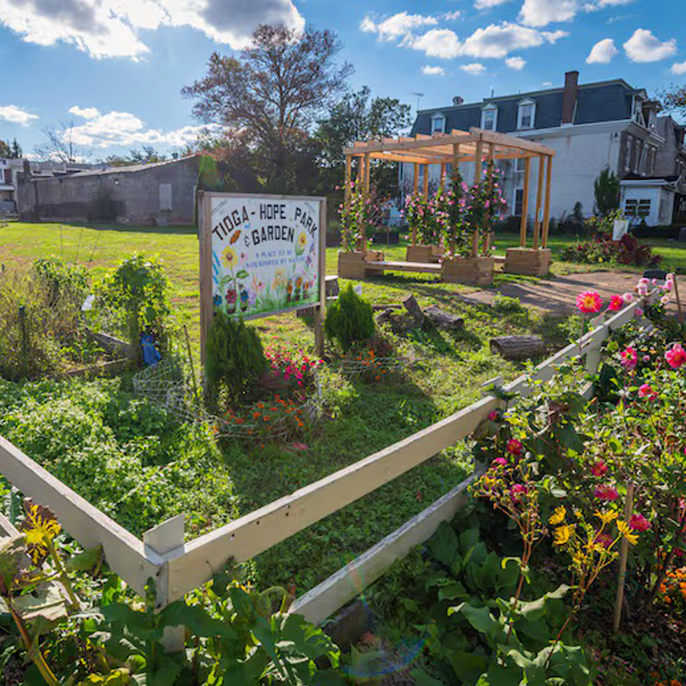 Vacant-Land-elements-example PHS Green Equity Initiative