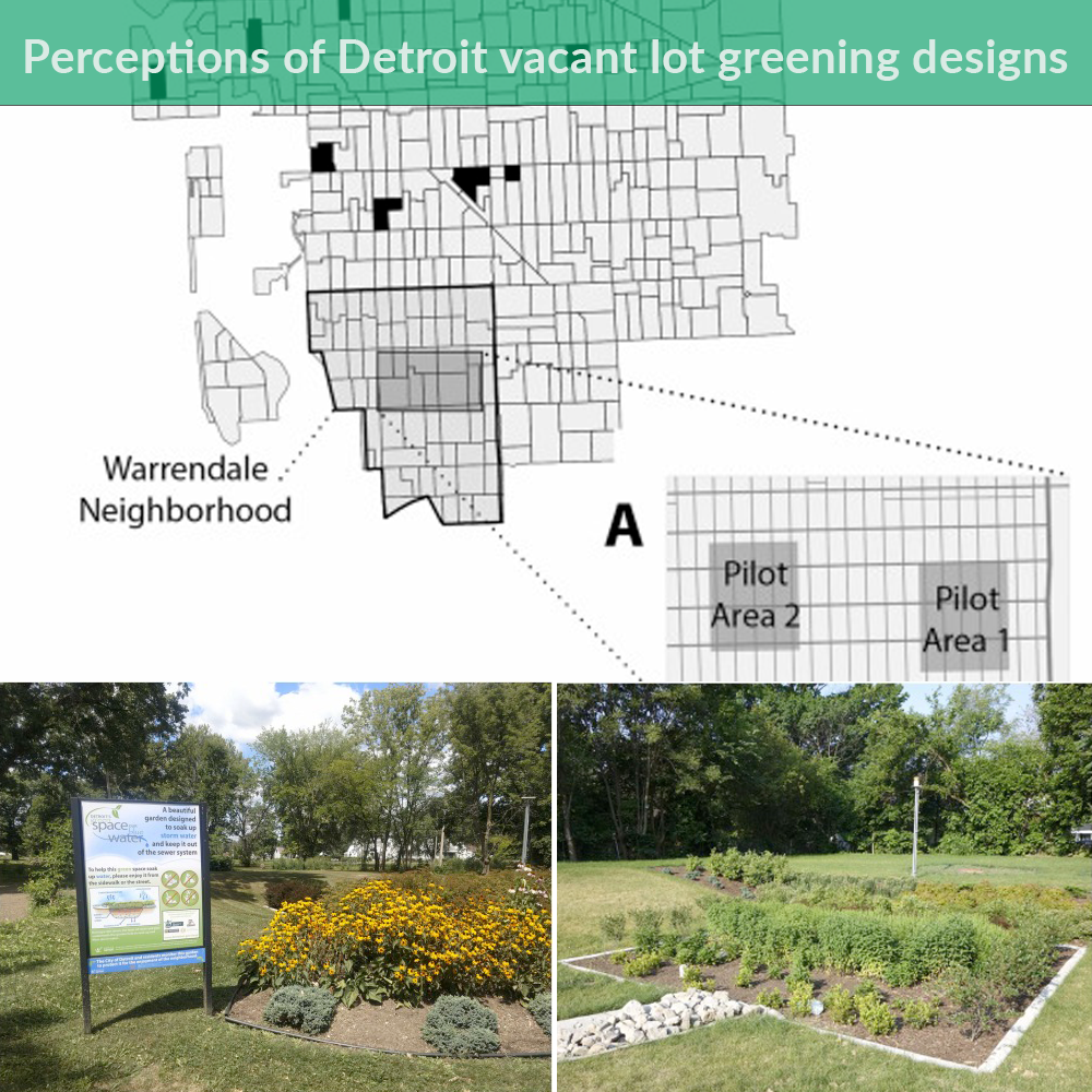 Vacant-Land-elements-example Perceptions of Detroit vacant lot greening designs related to depressive symptoms and household flooding