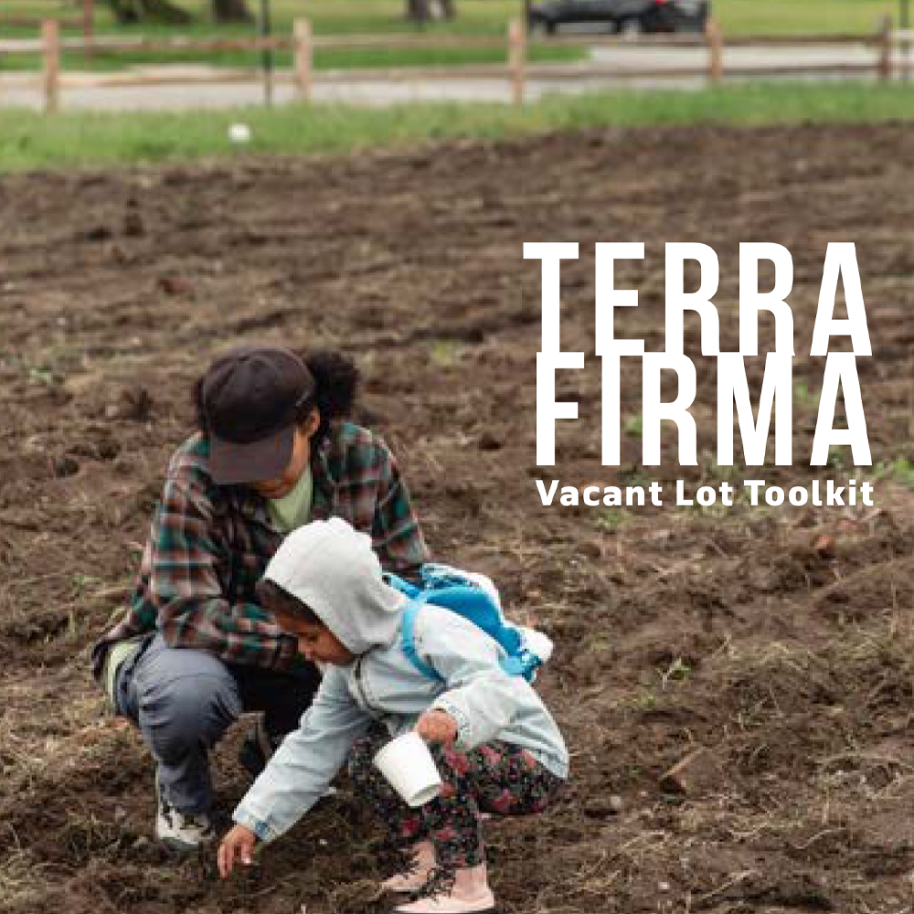 Vacant-Land-elements-example Terra Firma Vacant Lot Toolkit